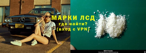 стафф Арсеньев
