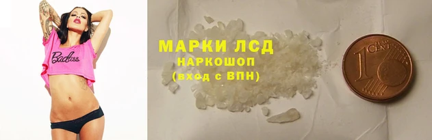 стафф Арсеньев