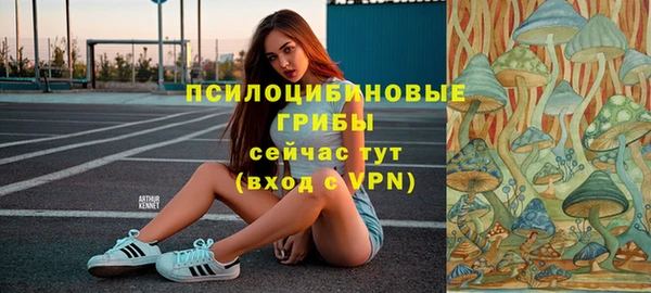 стафф Арсеньев