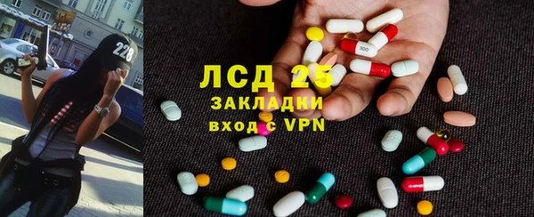 стафф Арсеньев