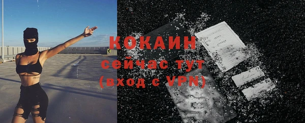 стафф Арсеньев