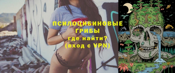 PSILOCYBIN Армянск