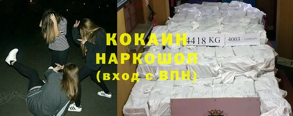 стафф Арсеньев