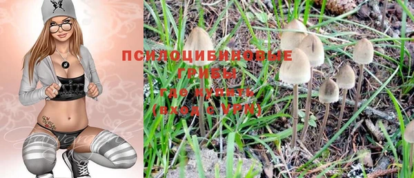 PSILOCYBIN Армянск